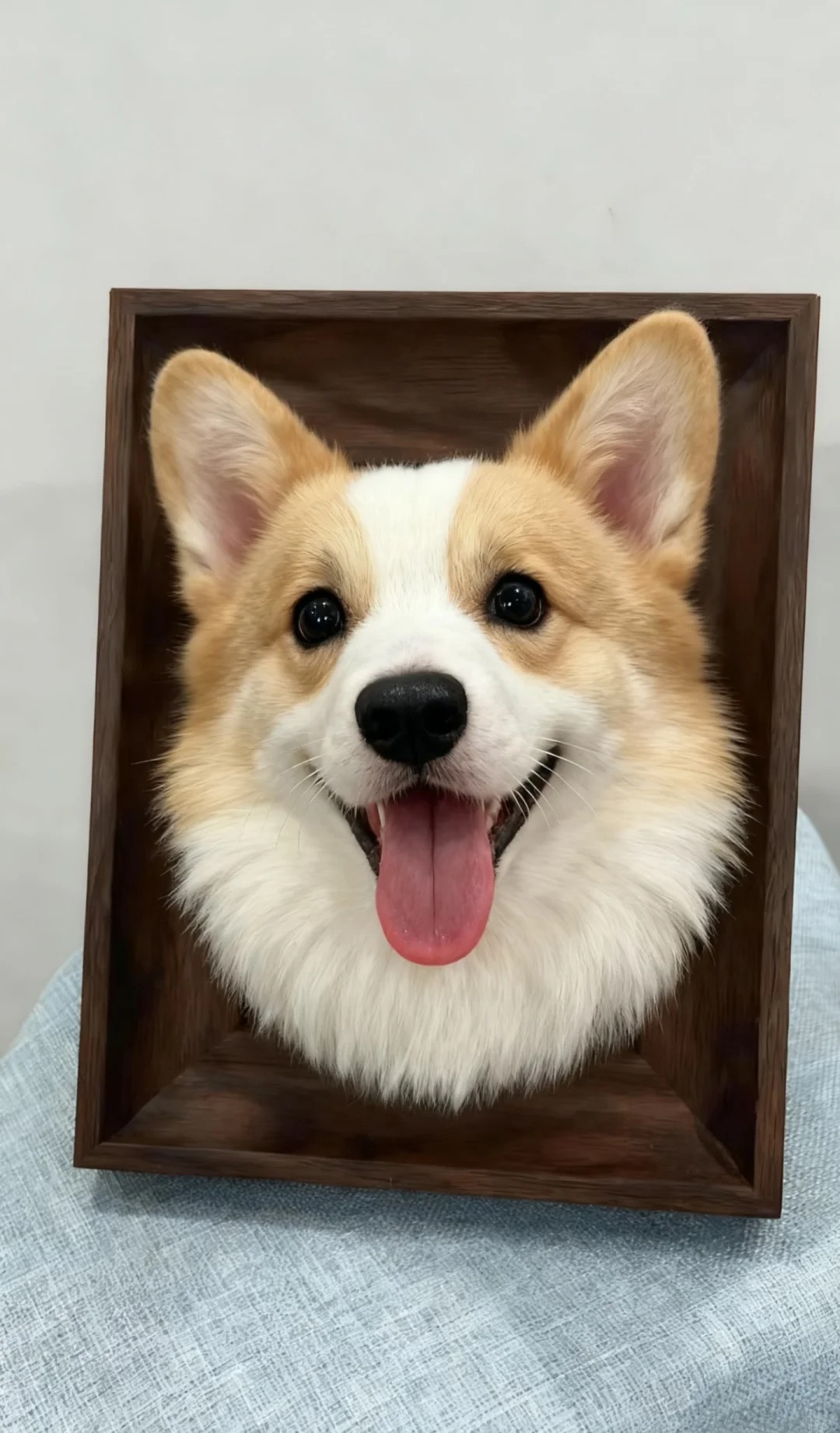 framed pet portrait cat