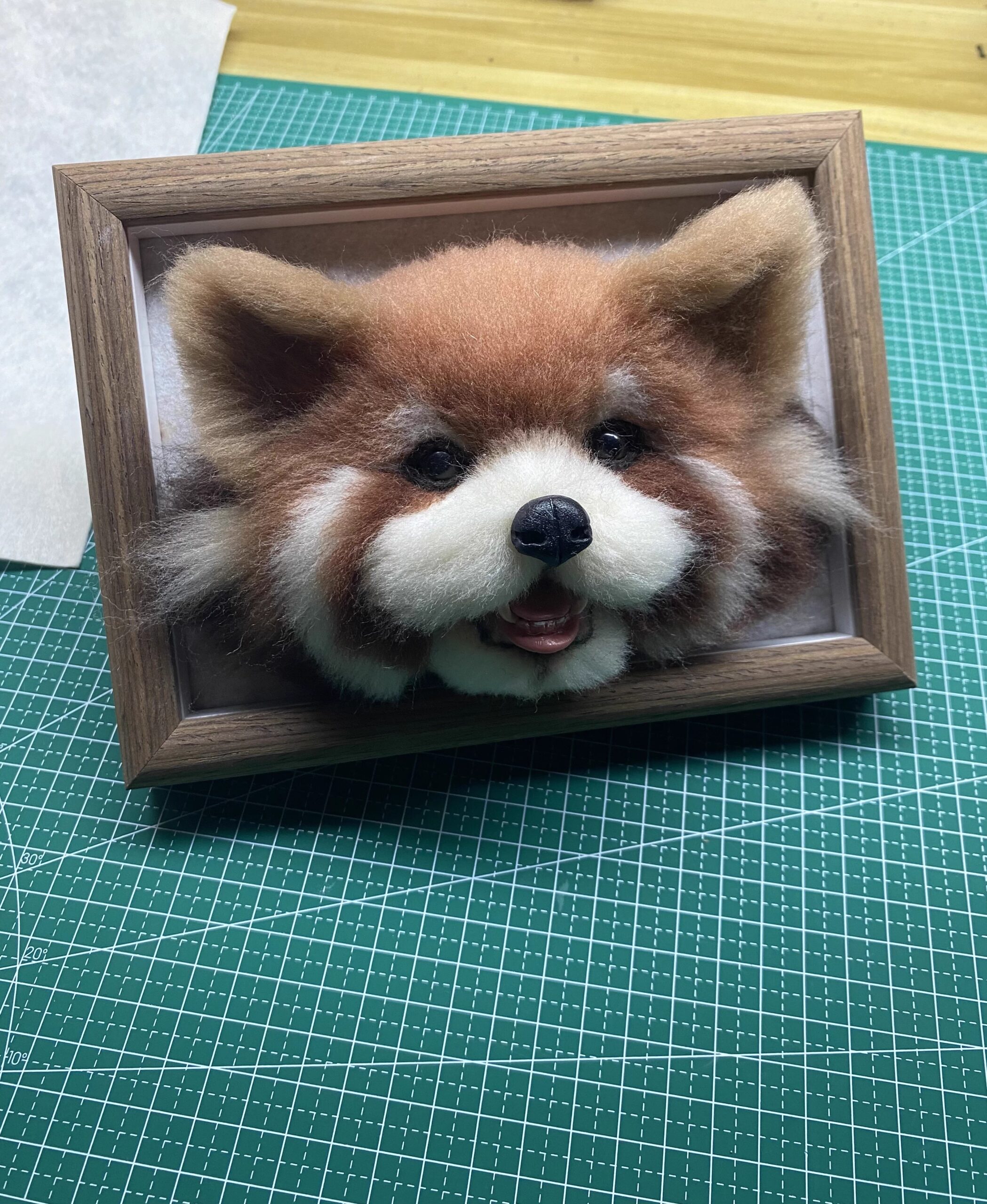 framed pet portrait cat